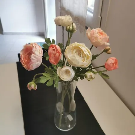 Il Giardino In Centro Apartment